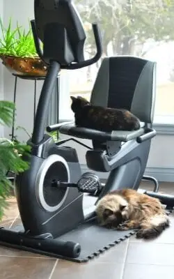 how to work your abs on a recumbent bike
