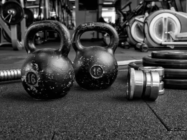 training equipment for fat loss